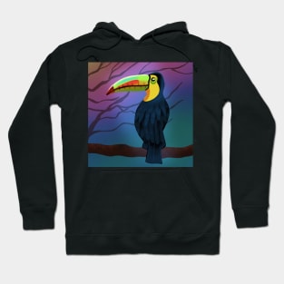 Colorful Toucan Bird Hoodie